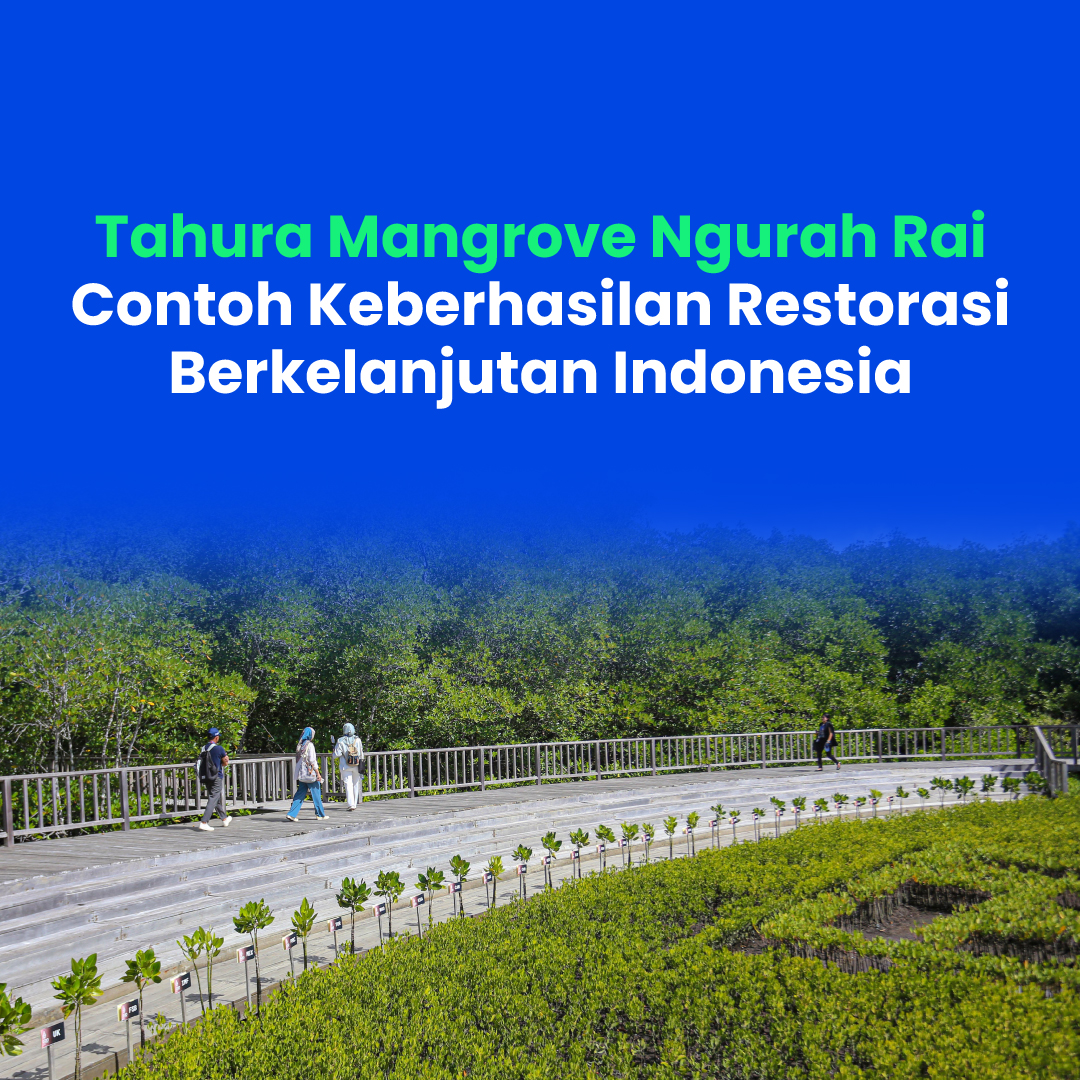 Tahura Mangrove Ngurah Rai Contoh Keberhasilan Restorasi Berkelanjutan Indonesia
