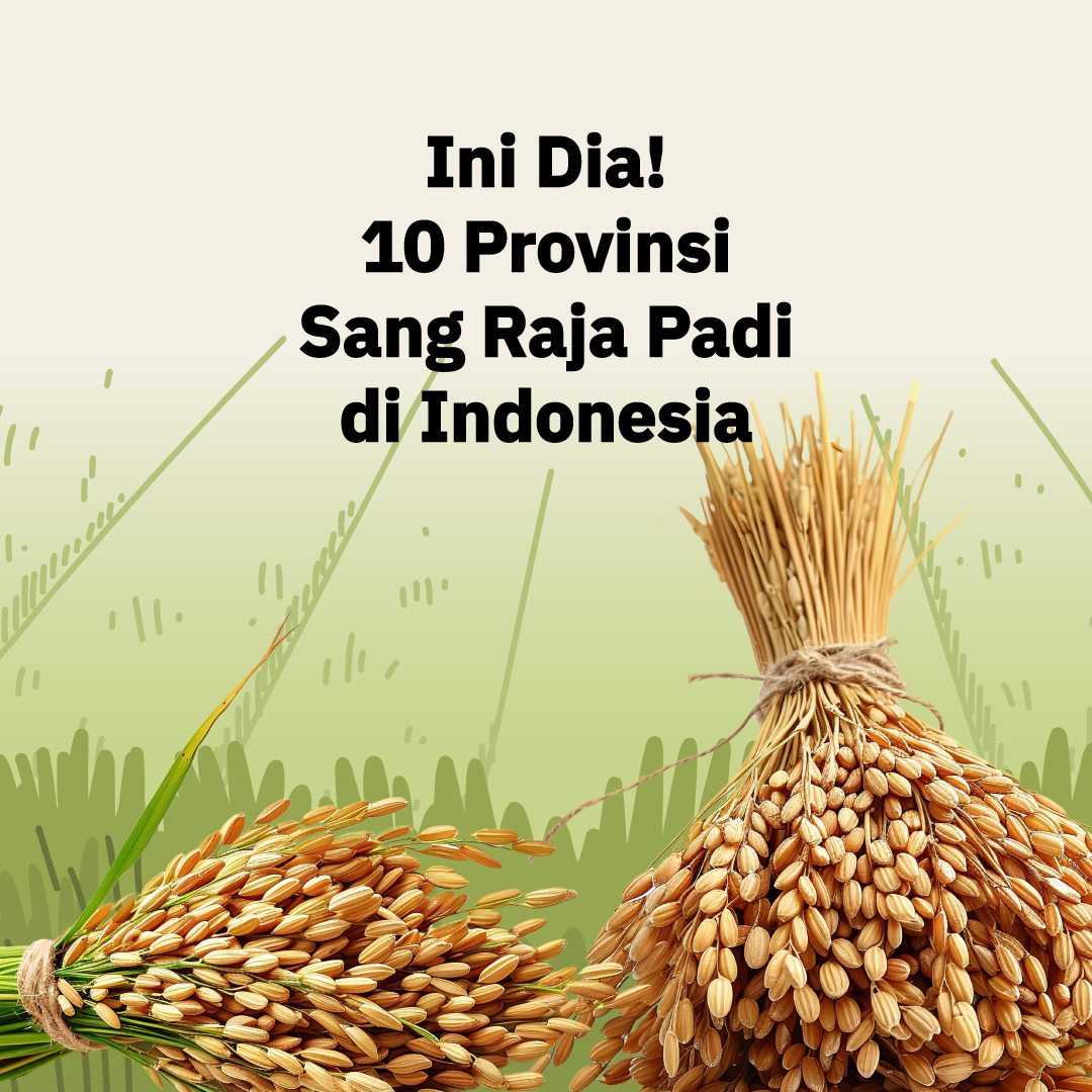 10 Provinsi Sang Raja Padi Indonesia