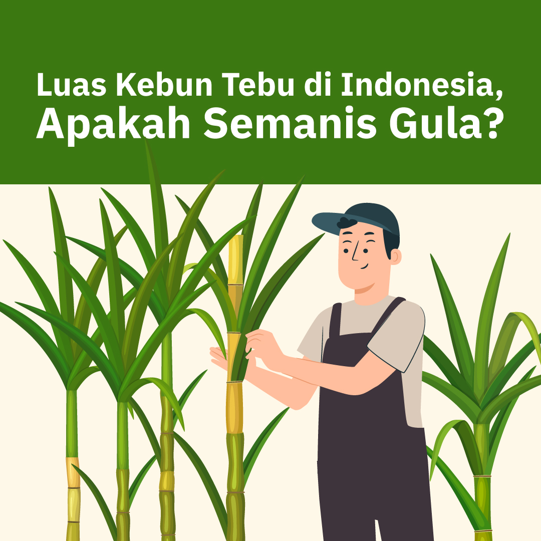 Luas Kebun Tebu di Indonesia, Apakah Semanis Gula?