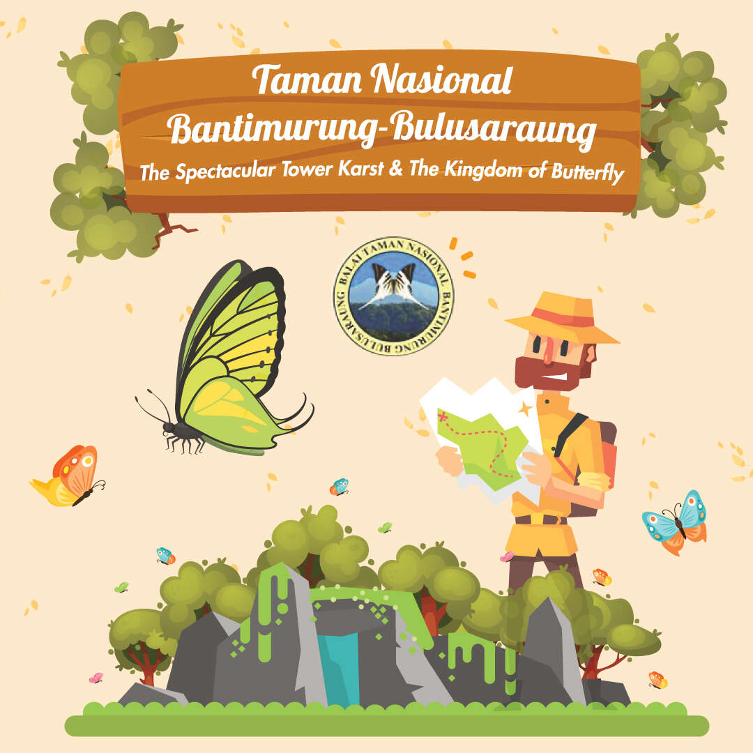 Taman Nasional Bantimurung-Bulusaraung: The Kingdom of Butterfly