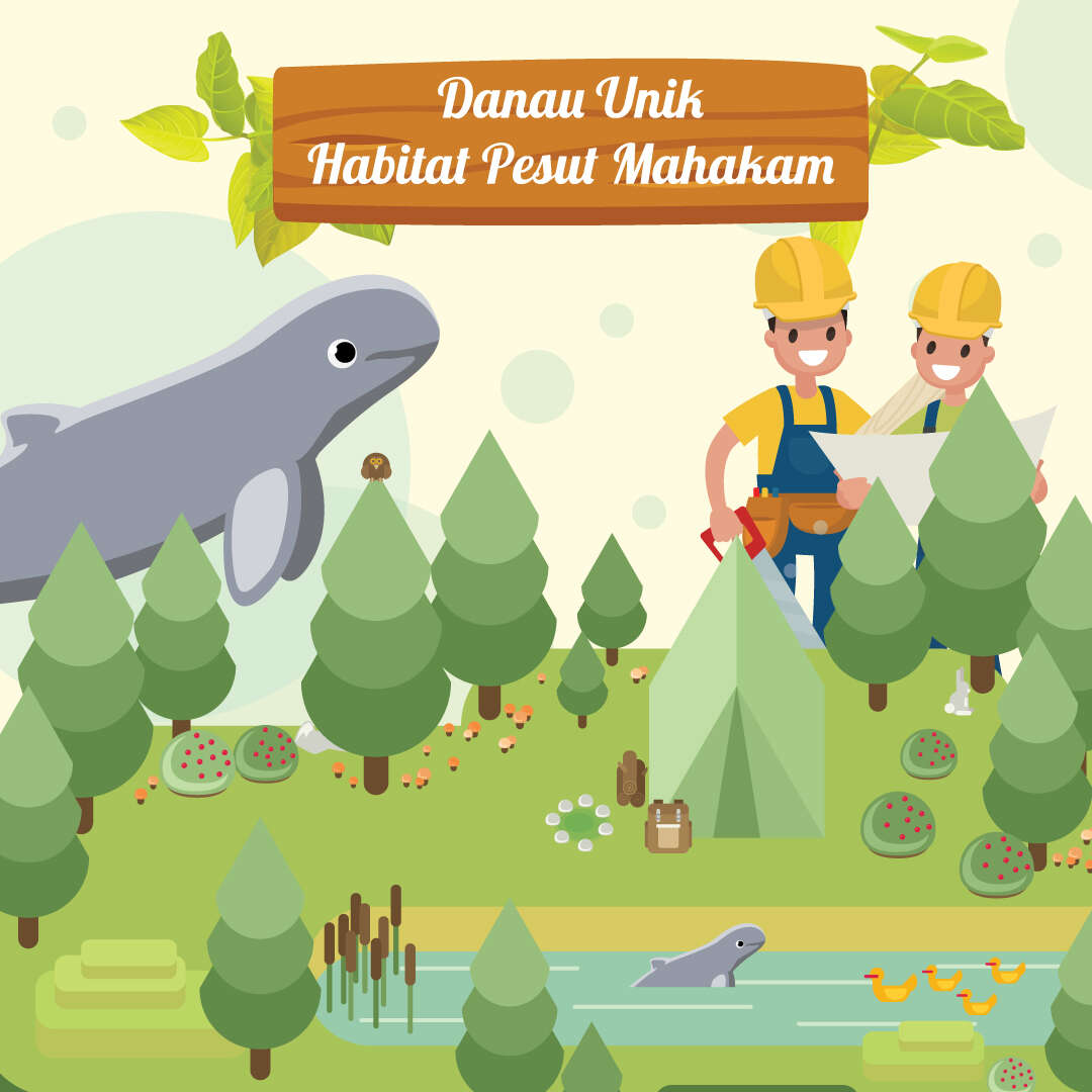 Danau Unik Habitat Pesut Mahakam