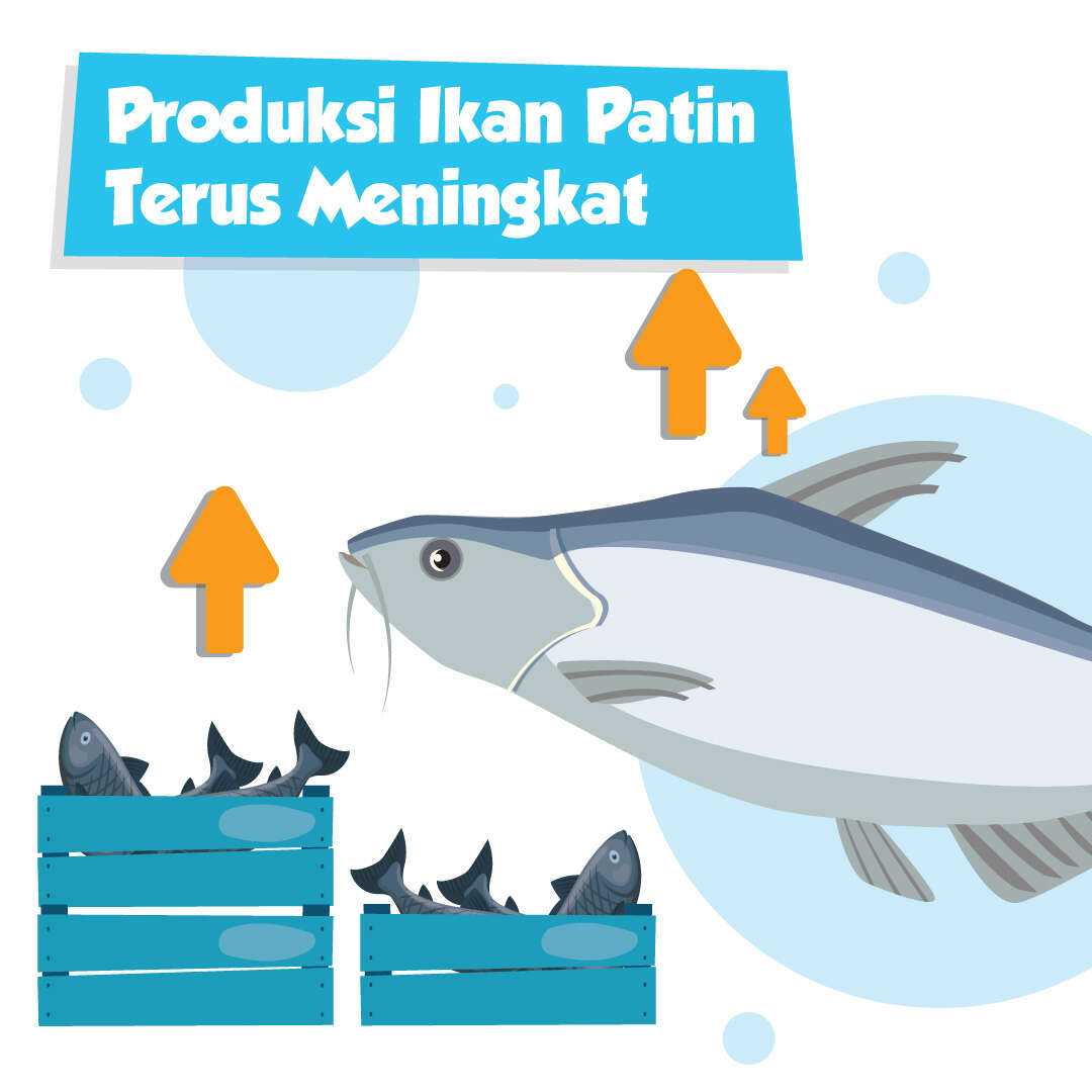 Produksi Ikan Patin Terus Meningkat 