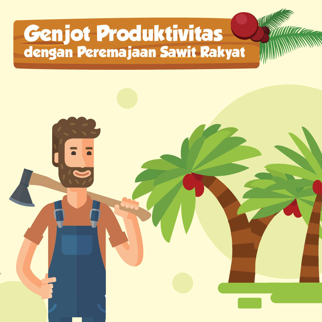 Genjot Produktivitas dengan Peremajaan Sawit Rakyat