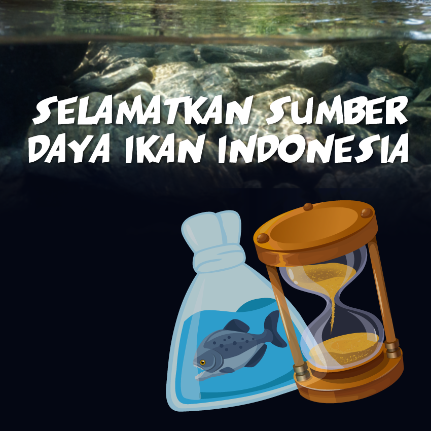 Selamatkan Sumber Daya Ikan Indonesia!