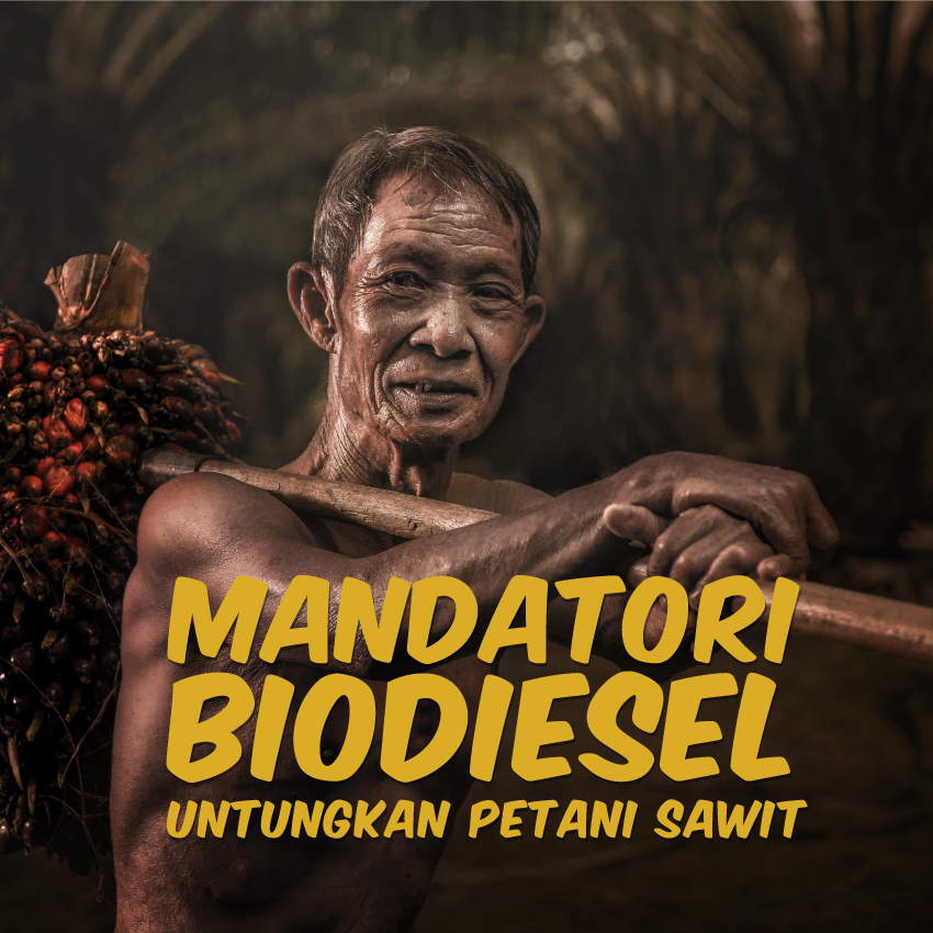 Mandatori Biodiesel Untungkan Petani Sawit