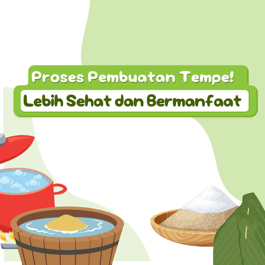Proses Pembuatan Tempe! Lebih Sehat dan Bermanfaat
