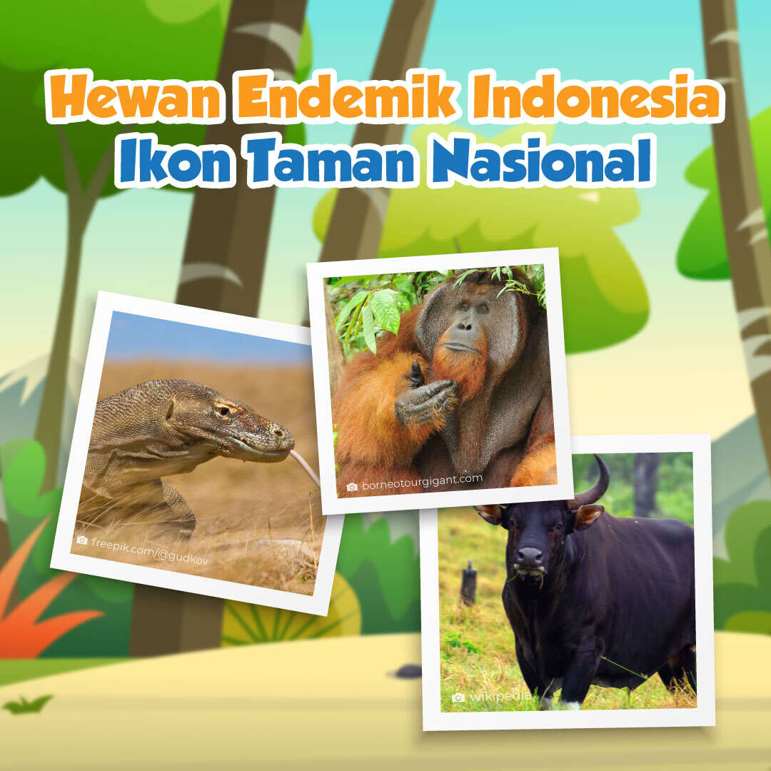 Hewan Endemik Indonesia Ikon Taman Nasional