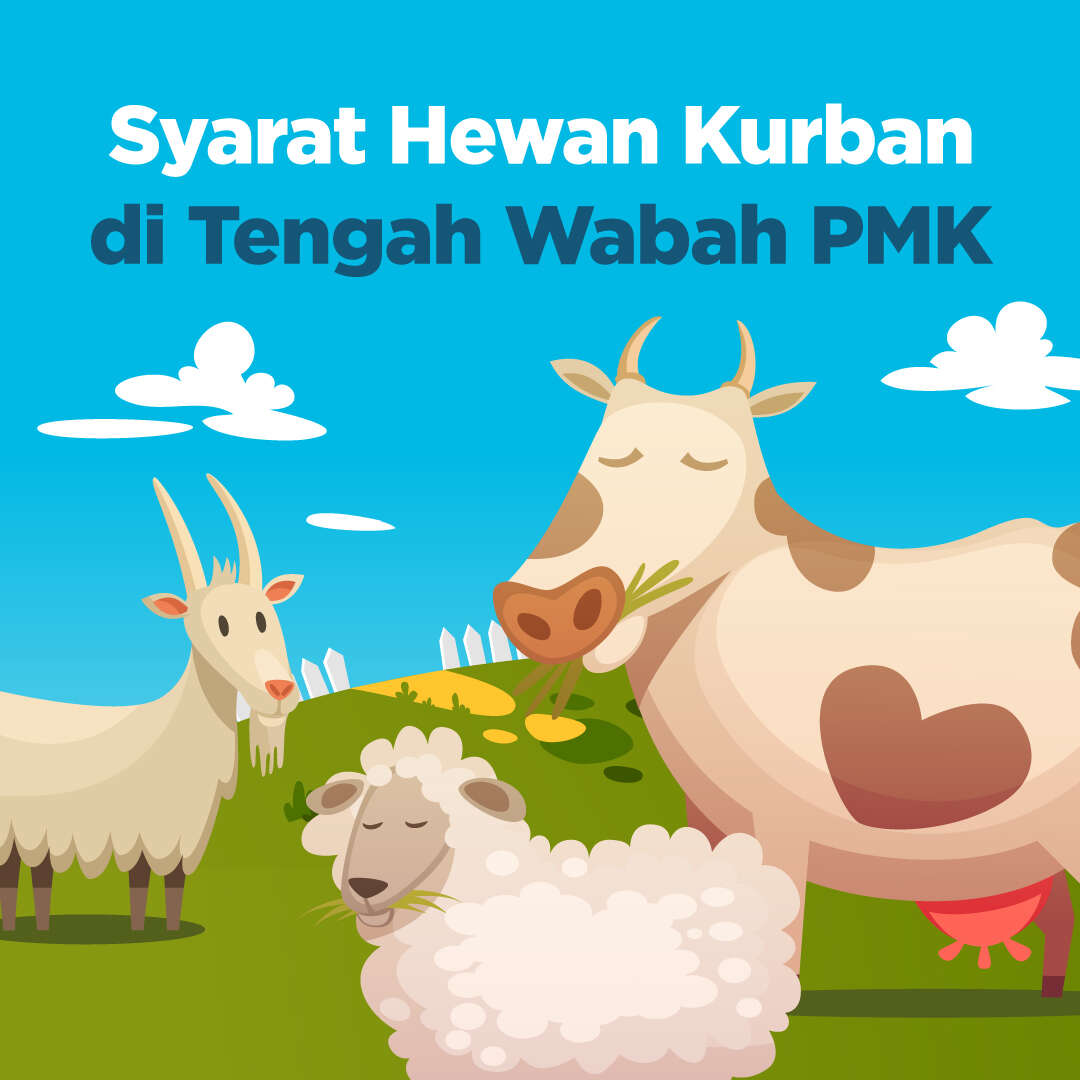 Syarat Hewan Kurban di Tengah Wabah PMK
