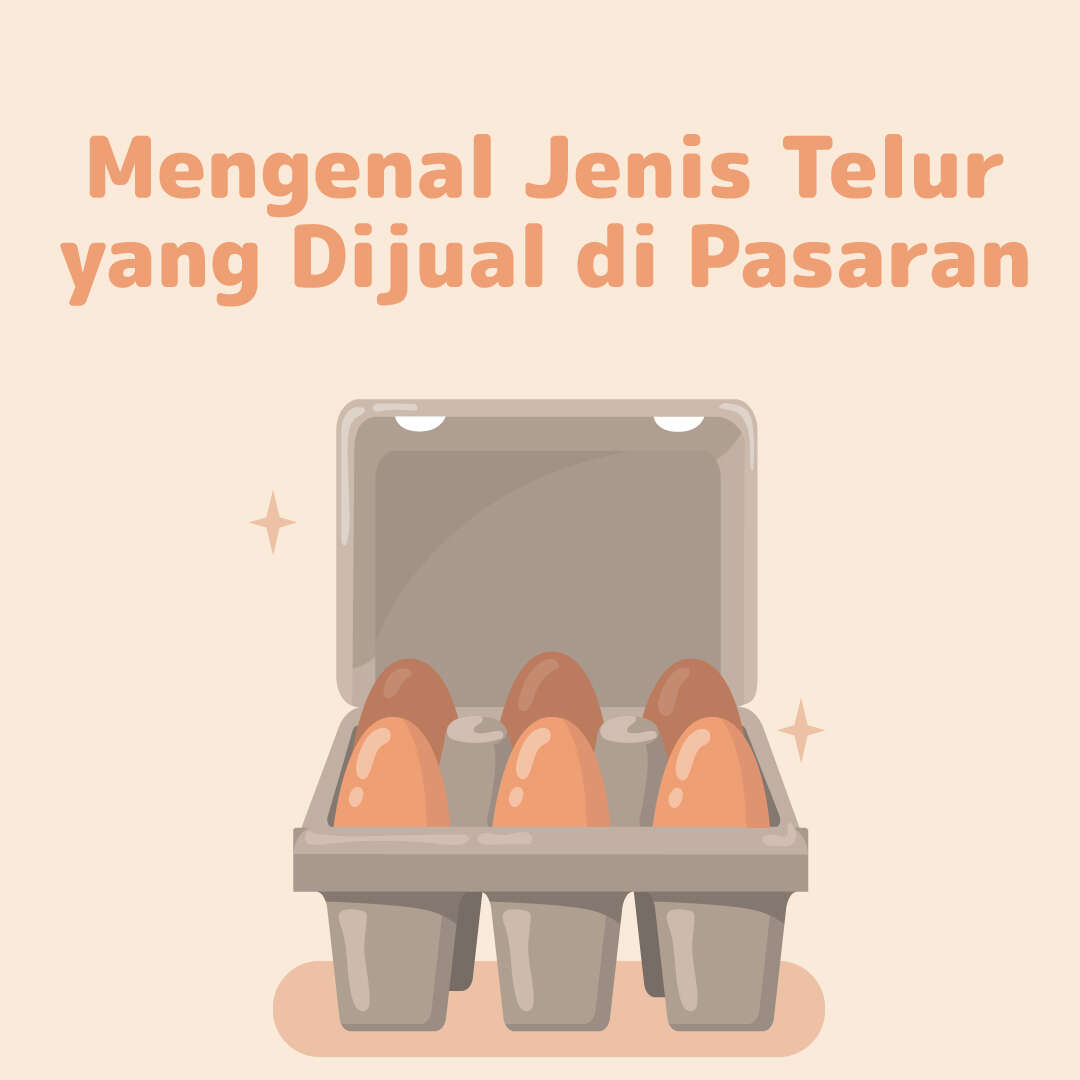 Mengenal Jenis Telur yang Dijual di Pasaran