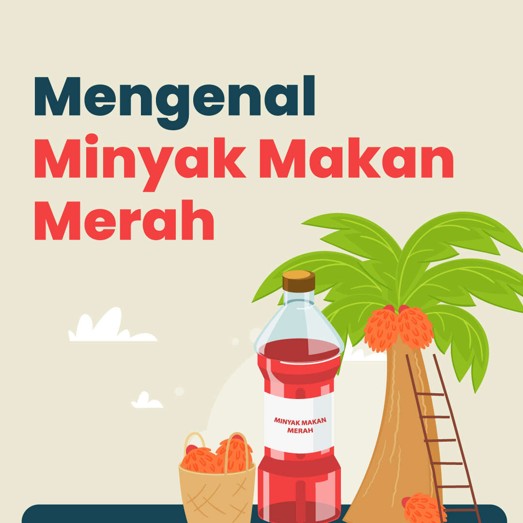 Mengenal Minyak Makan Merah