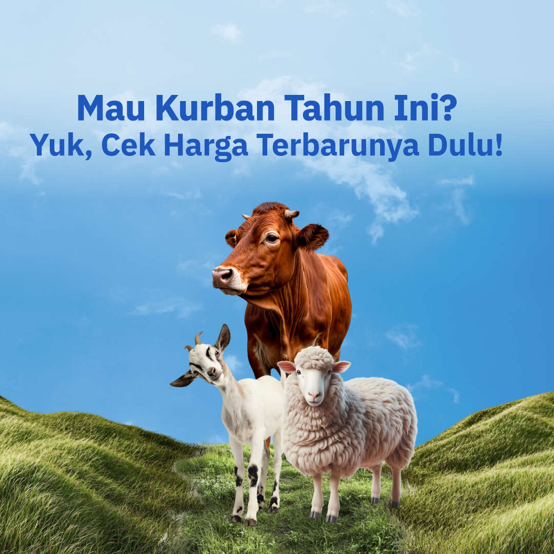 Mau Kurban Tahun Ini? Cek Dulu Harga Hewan Kurbannya Yuk!