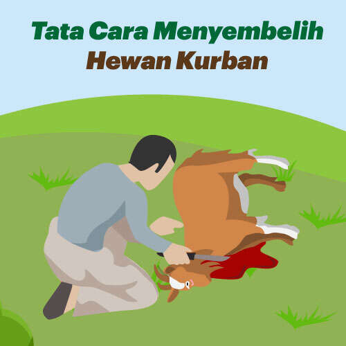 Tata Cara Menyembelih Hewan Kurban